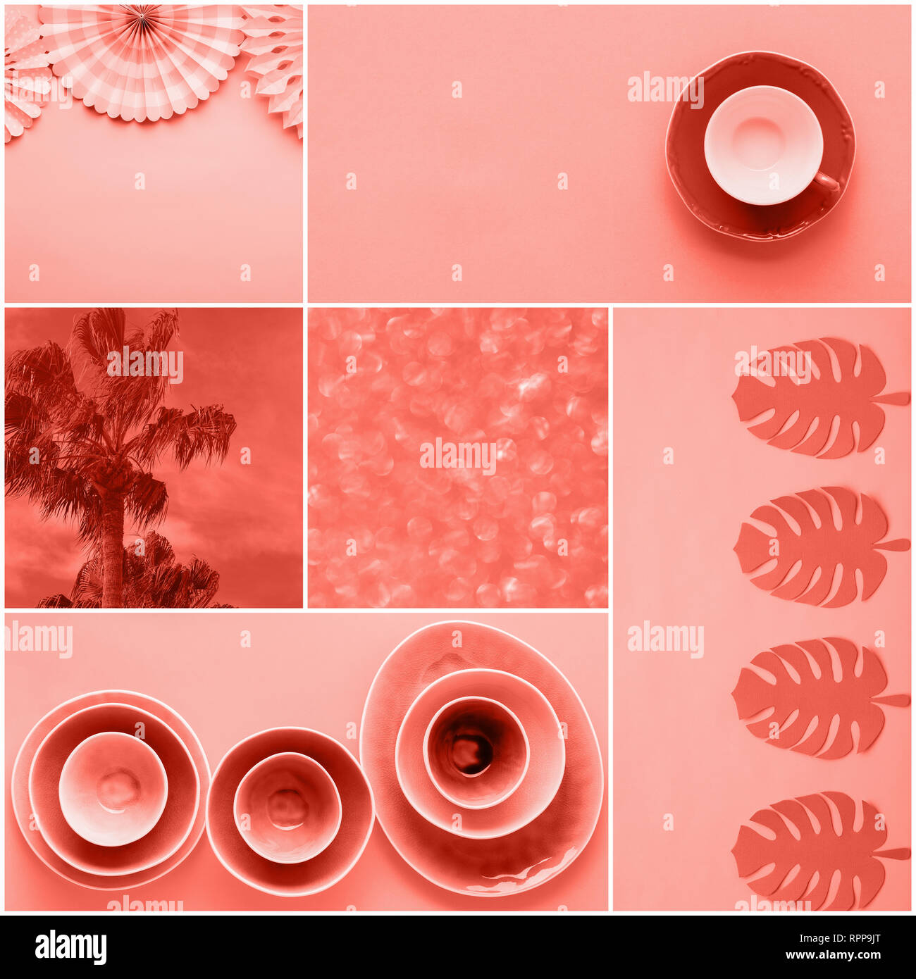 Collage in trendy coral colors, variety of objects, Chinese paper fans, palm tree, dinnerware, monstera leaves, selective focus Stock Photo