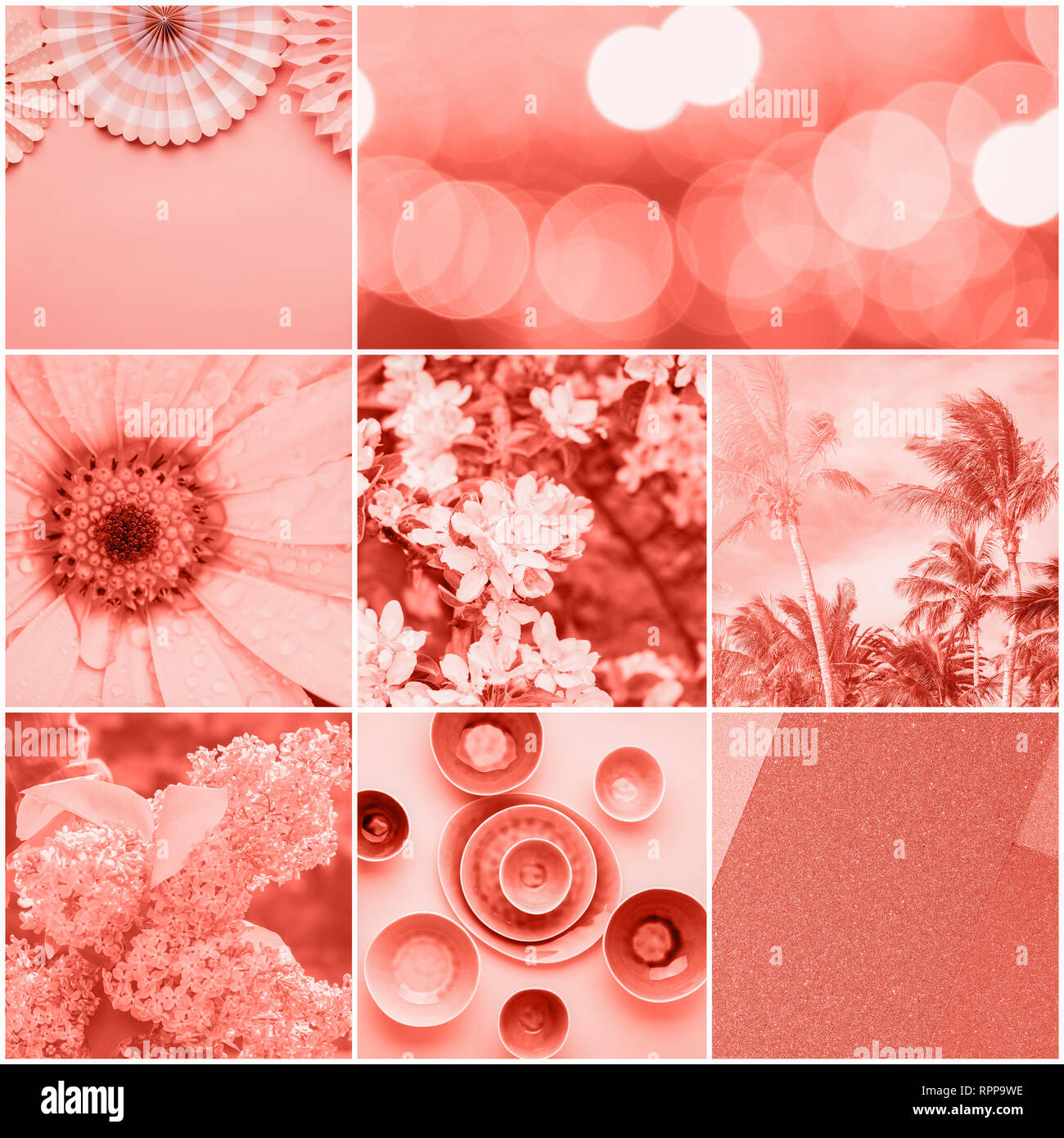 Collage in trendy coral colors, variety of objects, Chinese paper fans, palm tree, dinnerware, flowers, selective focus Stock Photo