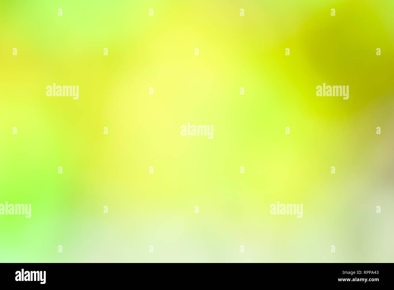 Abstract photo; blurred fuchsia background with beautiful bokeh; green, yellow Stock Photo