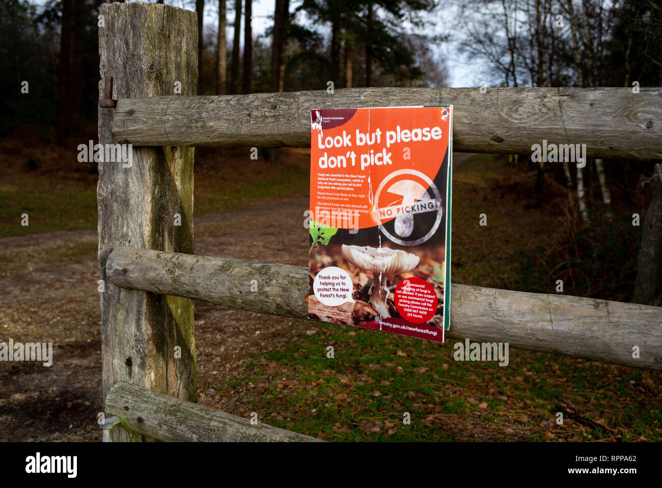 Environmental warning sign in the New Forest National park of not to pick fungi and mushrooms, look but do not pick. Stock Photo