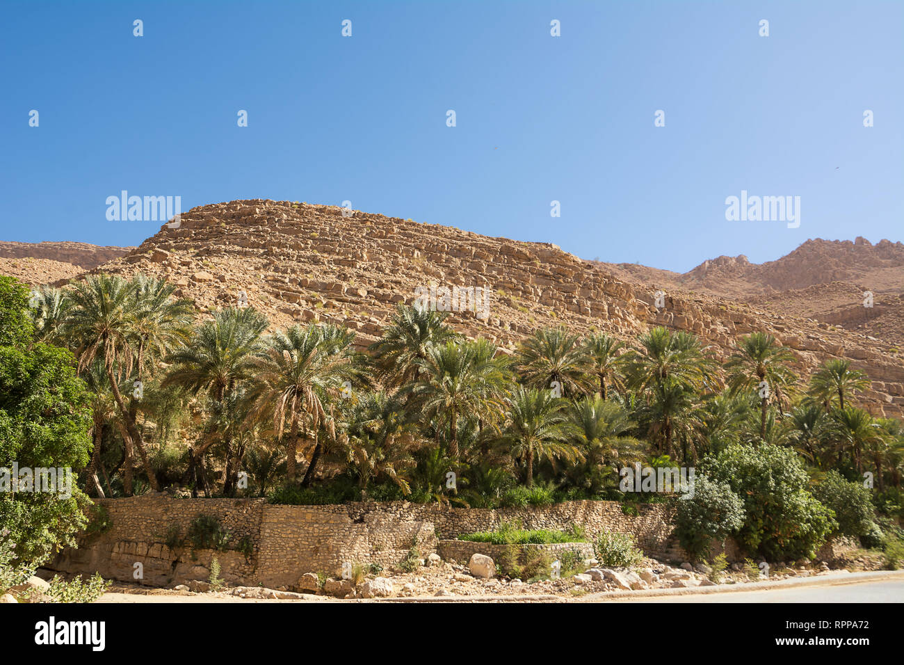 Oasis with Palms in the middle of the rocky desert Stock Photo