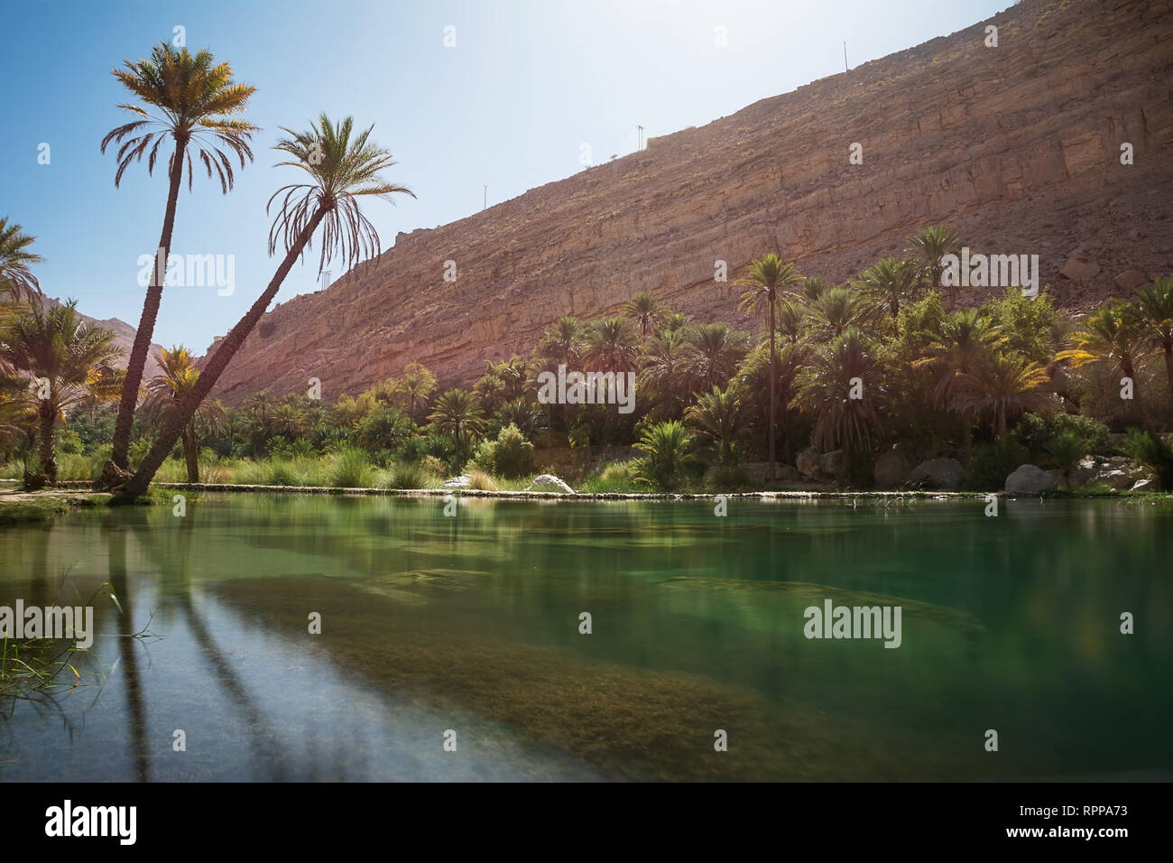 Amazing Lake and oasis with palm trees (Wadi Bani Khalid) in the Omani desert Stock Photo