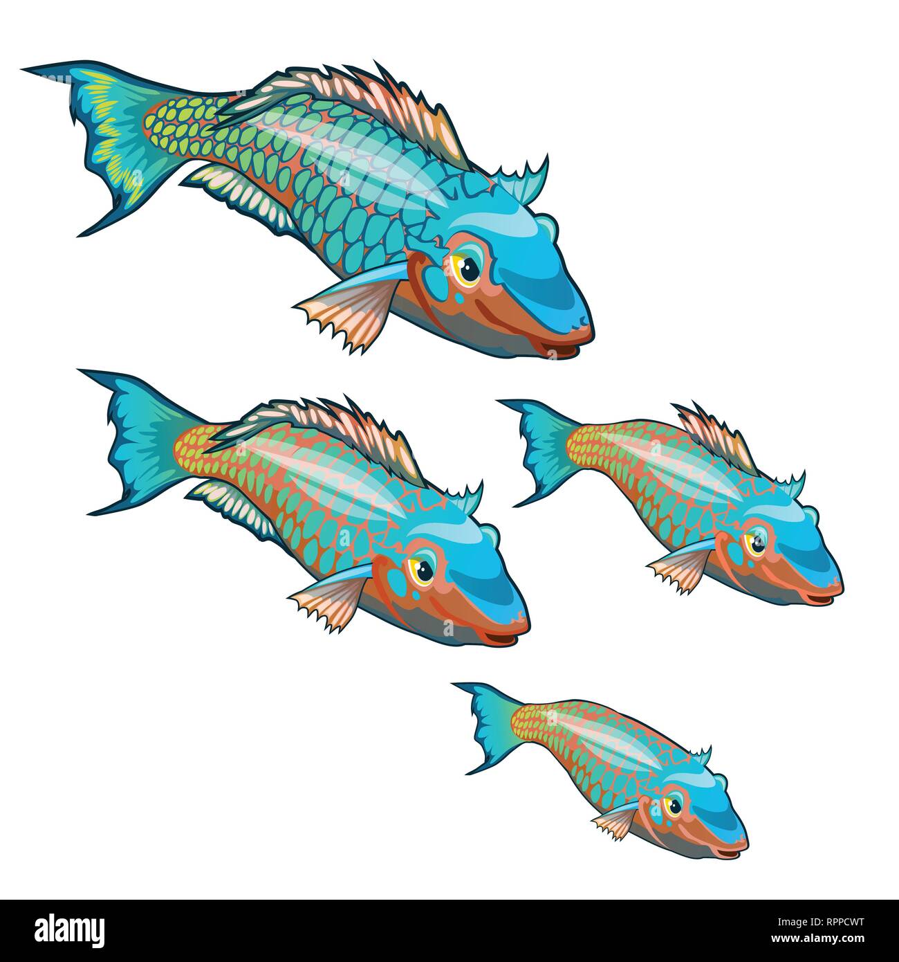 The growth stage of fancy fish with colorful scales isolated on a white background. Cartoon vector close-up illustration. Stock Vector