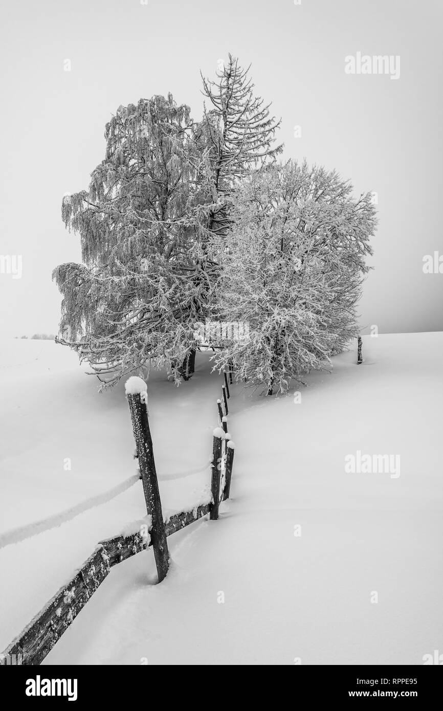 It was snowing the whole night and finally stopped first in the early morning hours. Hours after the snow stopped was just a dream. Stock Photo