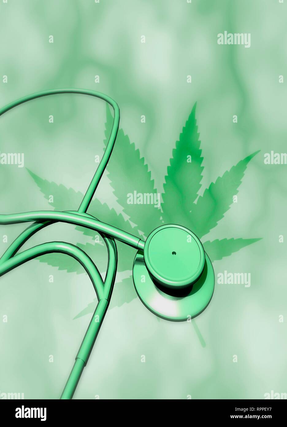 Medical cannabis, conceptual image. Leaf of the cannabis plant (Cannabis sativa) with stethoscope. Cannabis (also known as marijuana) contains the psychoactive chemical tetrahydrocannabinol (THC). It is medically useful because of its ability to relieve pain, increase appetite and control muscle spasms. Cannabis has the potential to treat the side-effects of chemotherapy and the symptoms of conditions including AIDS, multiple sclerosis and chronic pain from nerve damage. Stock Photo