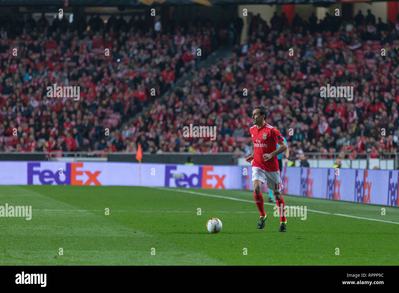 Lisbon, Portugal. 21st Feb, 2019. February 21, 2019. Lisbon, Portugal. Benfica's forward from Brazil Jonas (10) in action during the game of the UEFA Europa League, Round of 32, SL Benfica vs Galatasaray SK Credit: Alexandre de Sousa/Alamy Live News Stock Photo