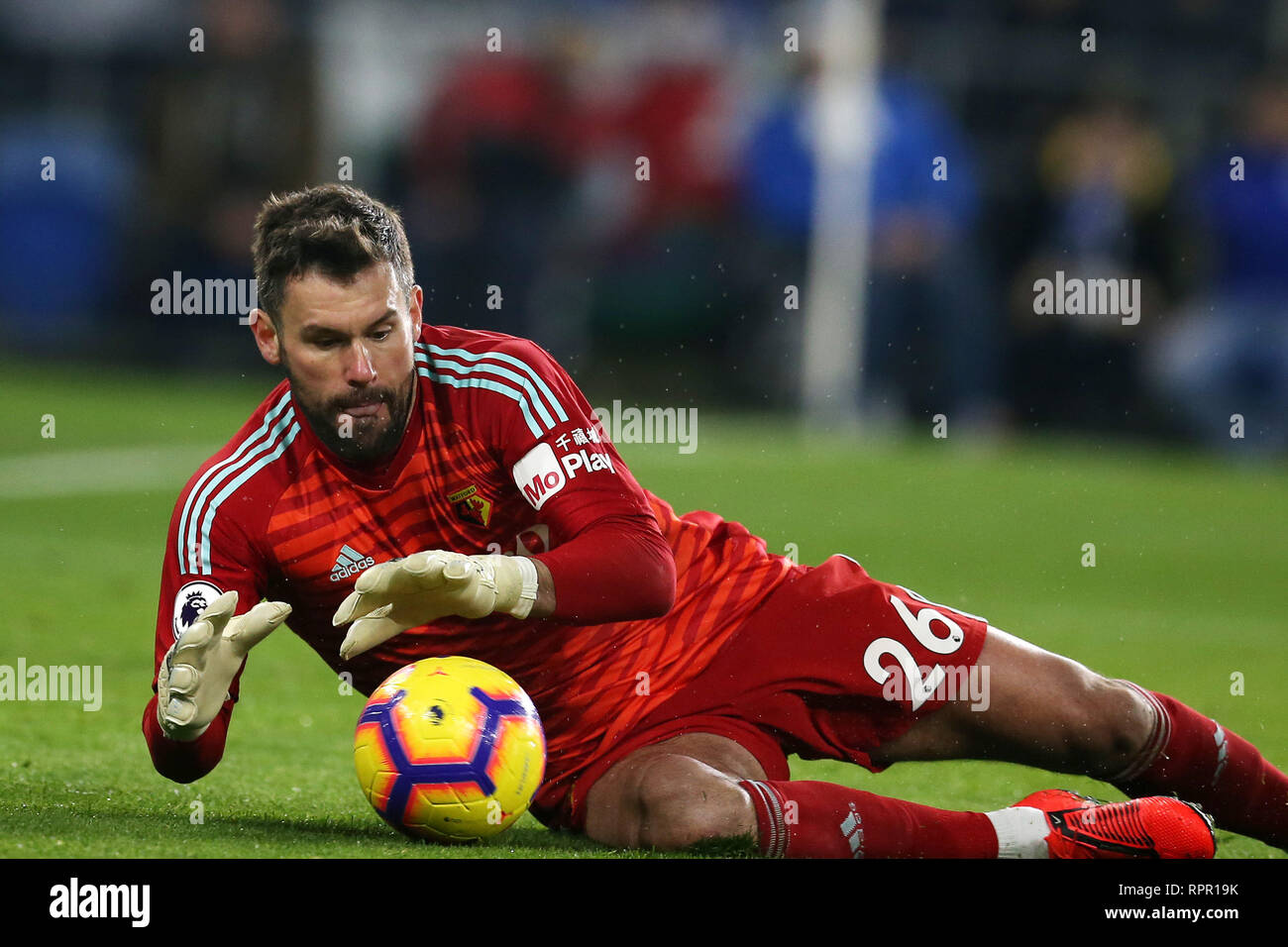 Match Pack: Watford v Cardiff City - Watford FC