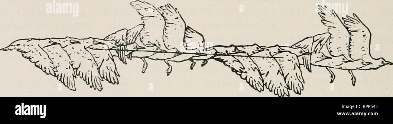 Aufschlag High Resolution Stock Photography And Images Alamy