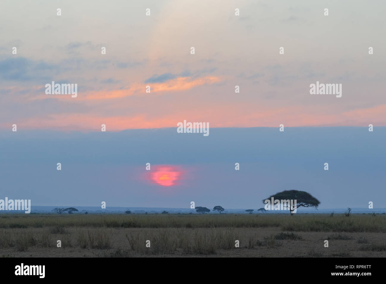 Red sunset in Africa. Amboseli, Kenya Stock Photo - Alamy
