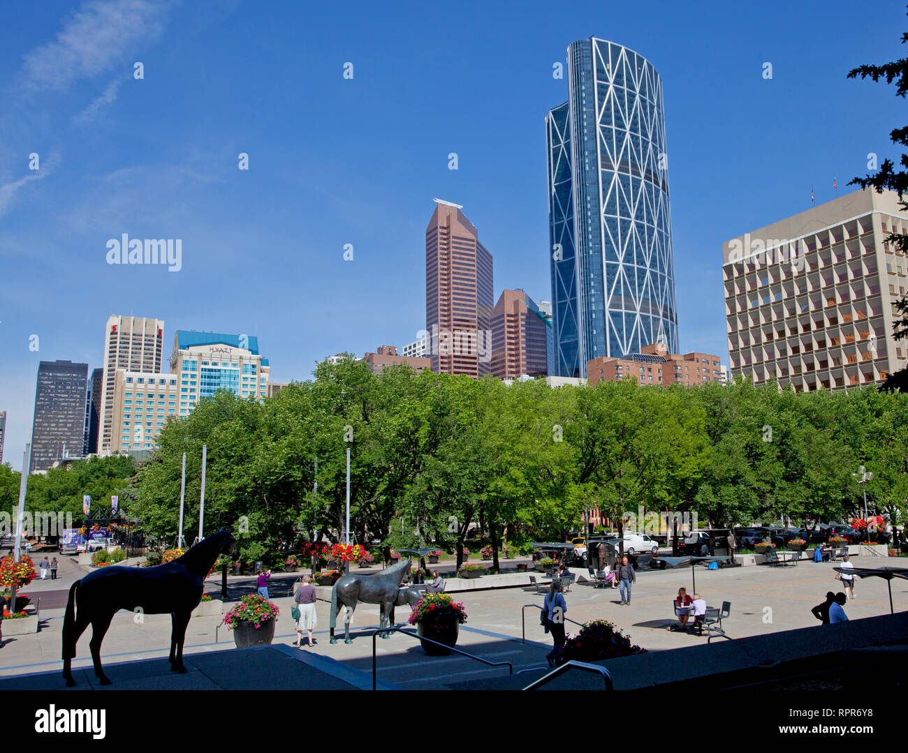 Calgary horse statues, Alberta, Canada Stock Photo Alamy