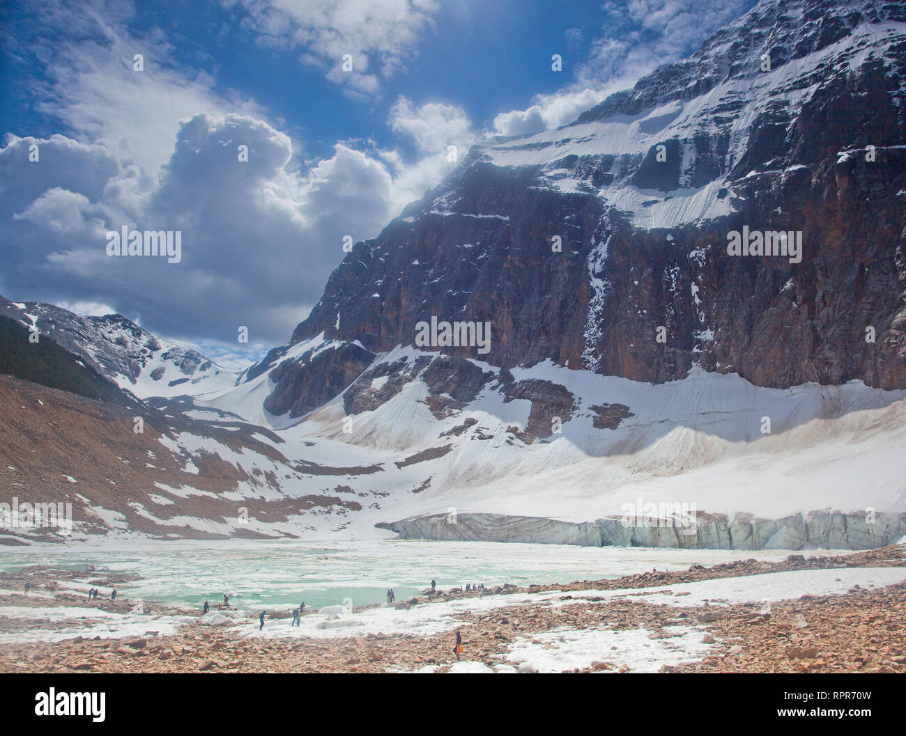 Mount Edith Cavell Lake, Jasper National Park, Canada Stock Photo - Alamy