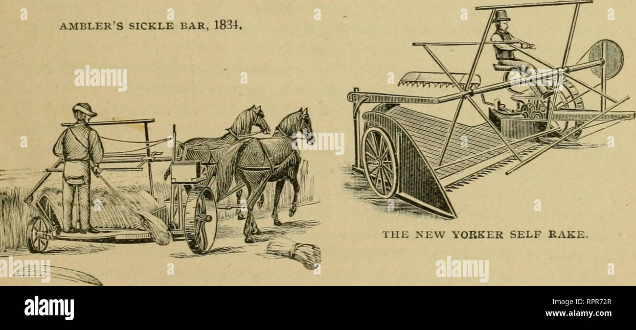 L Rake Stock Photos L Rake Stock Images Alamy