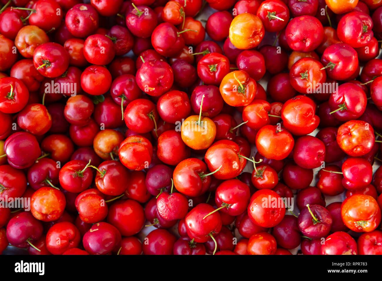 Close up of fresh 'Acerola' cherry fruits. The acerola juice contains 40 to 80 times more vitamin 'C' than lemon or orange juice. Stock Photo
