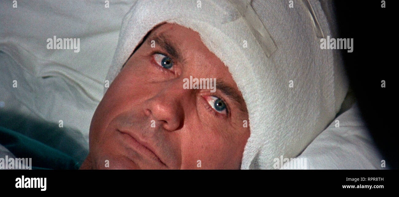 Flowers For Algernon Stock Photos & Flowers For Algernon Stock Images