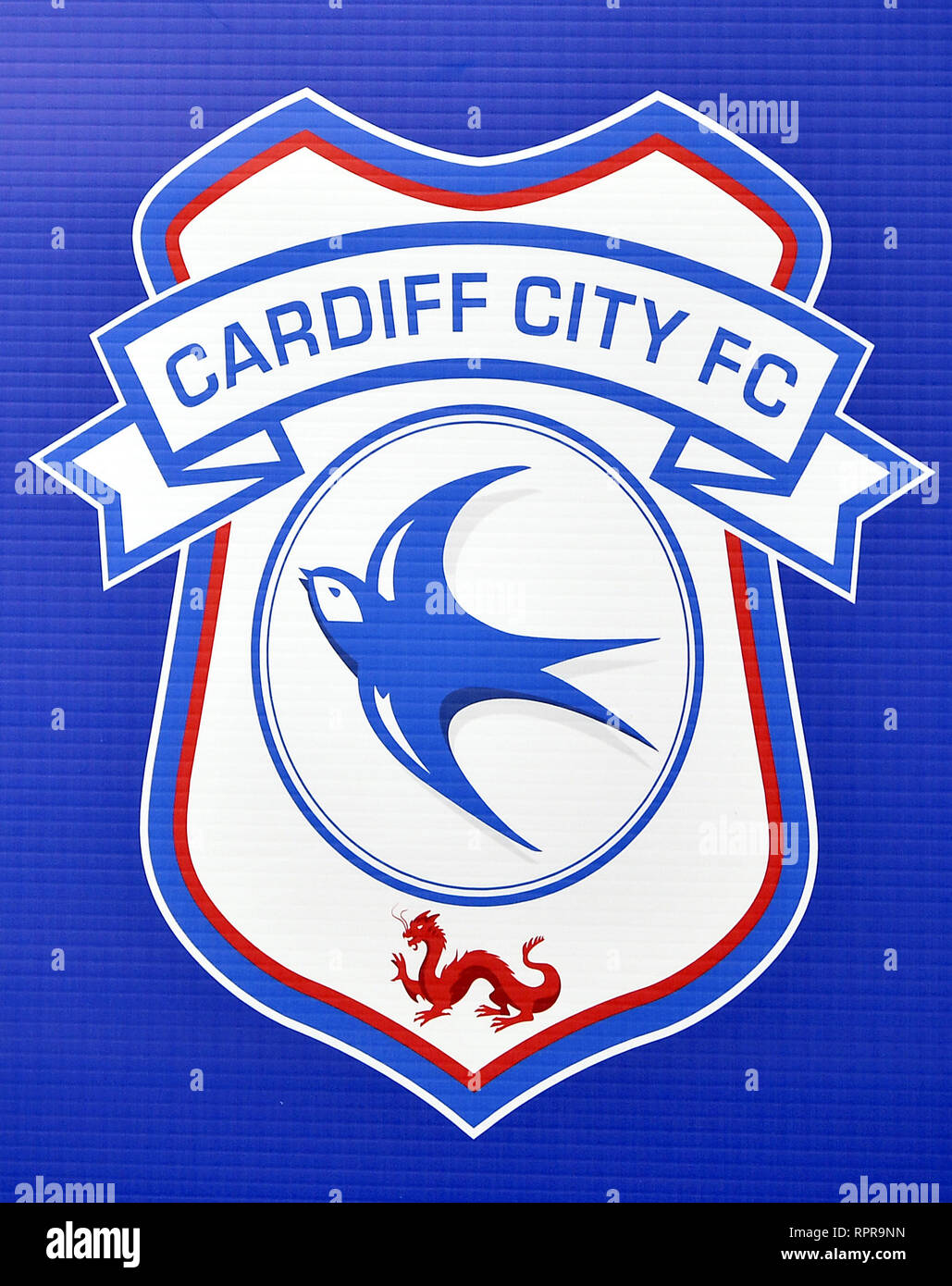 Cardiff City Logo Paint By Numbers 