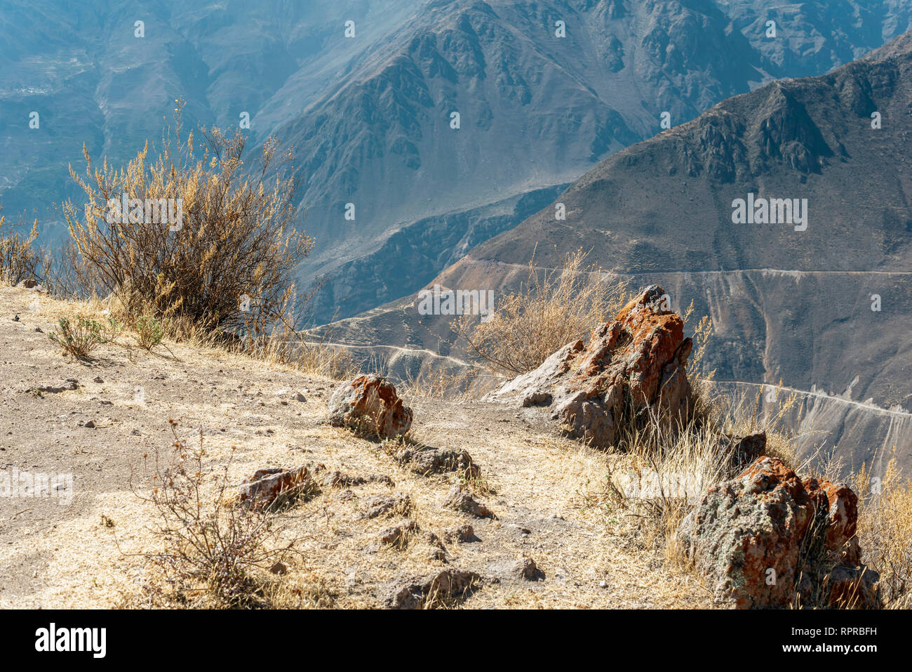 cliff with bush and mossy boulders in Peruvian mountains Stock Photo