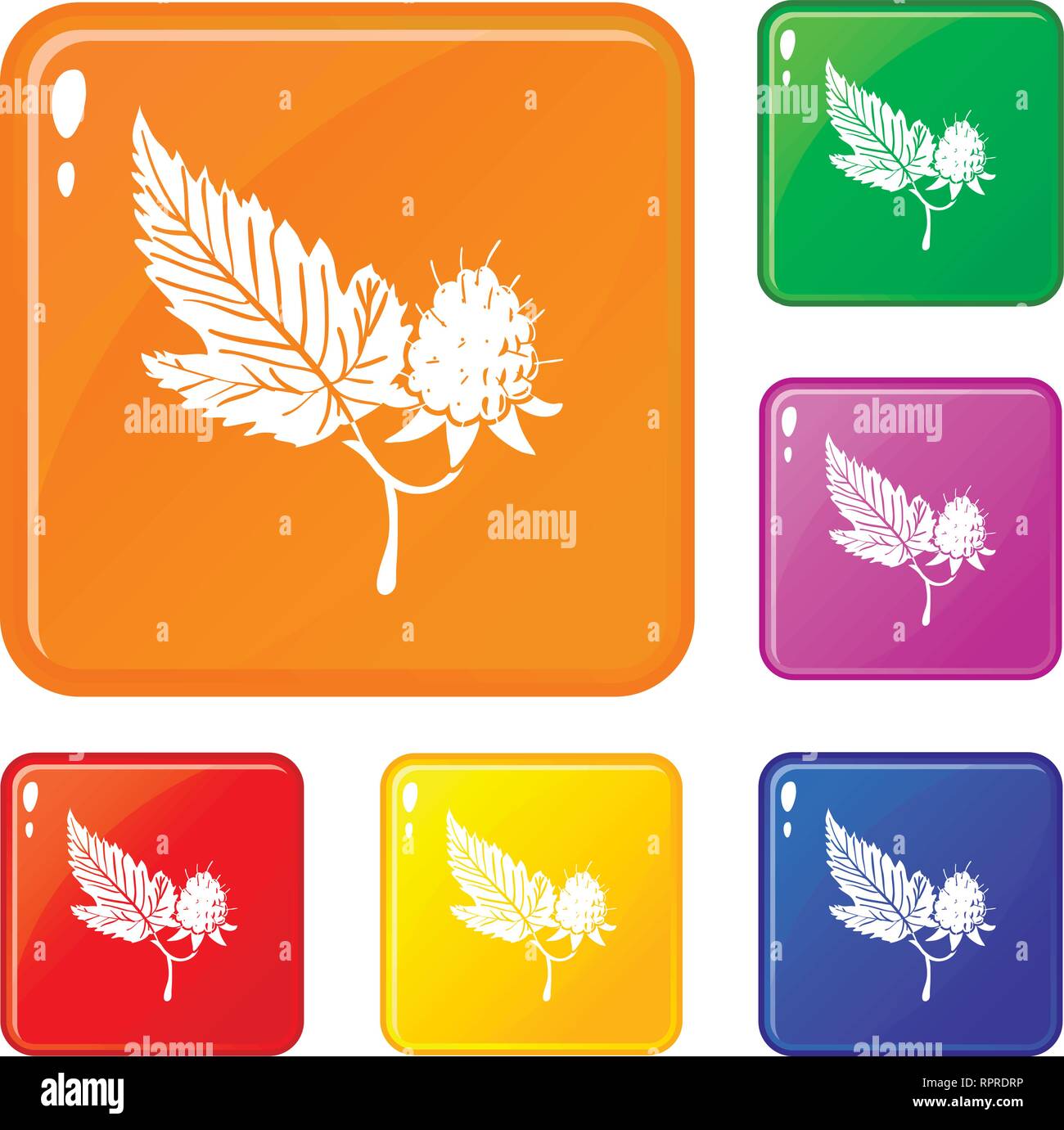 Raspberry icons set vector color Stock Vector Image & Art - Alamy