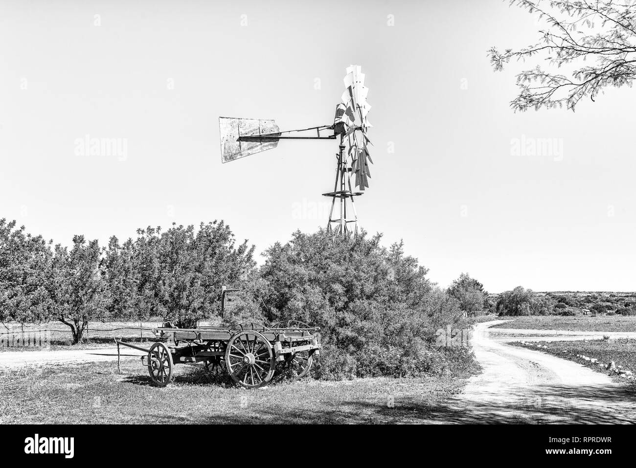 A landscape with windmill and ox-wagon at Papkuilsfontein in the Northern Cape Province of South Africa. Monochrome Stock Photo