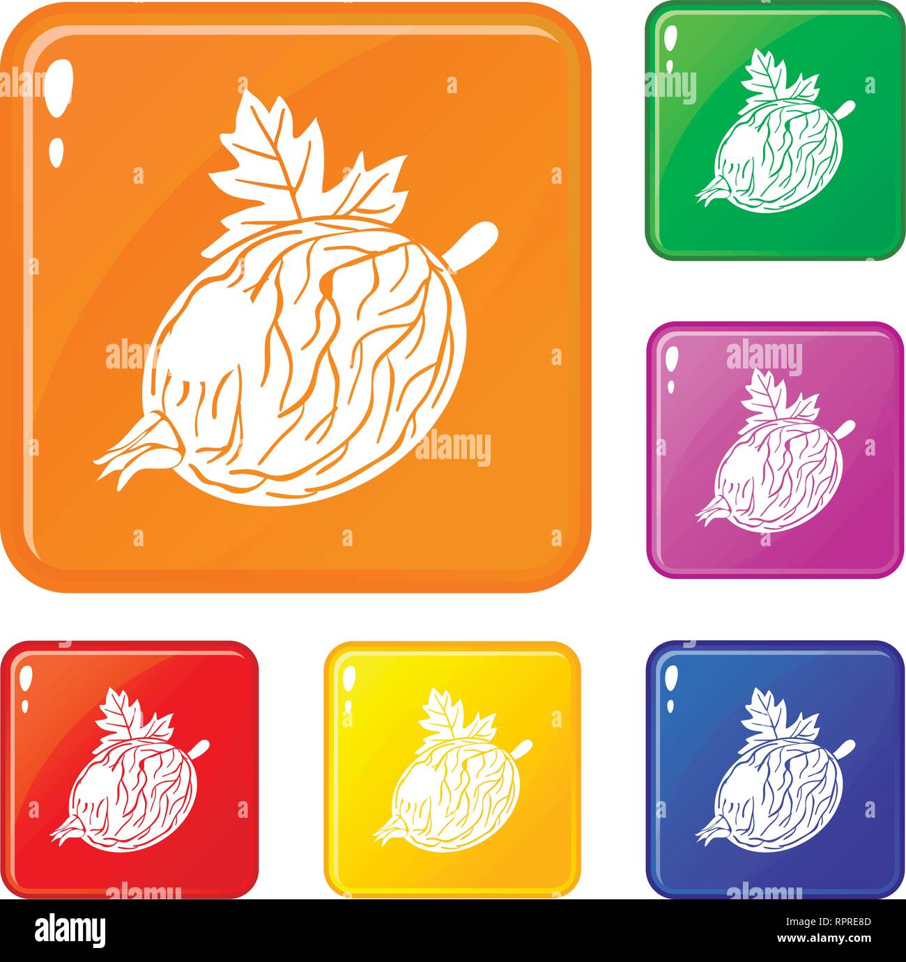 Gooseberry icons set vector color Stock Vector