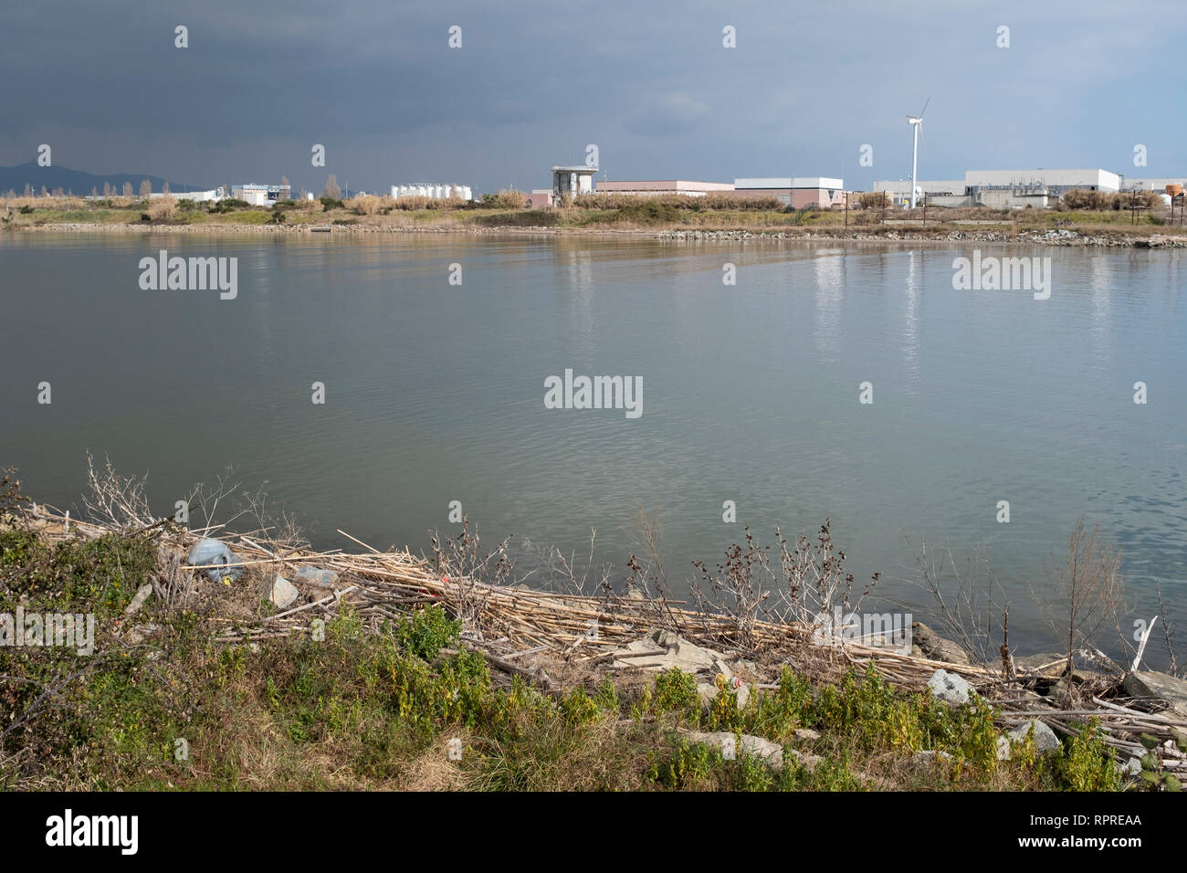 Llobregat River with industrial area in background and plastic bottles in the foreground. Natural Areas of the Llobregat Delta. Catalonia. Spain. Stock Photo
