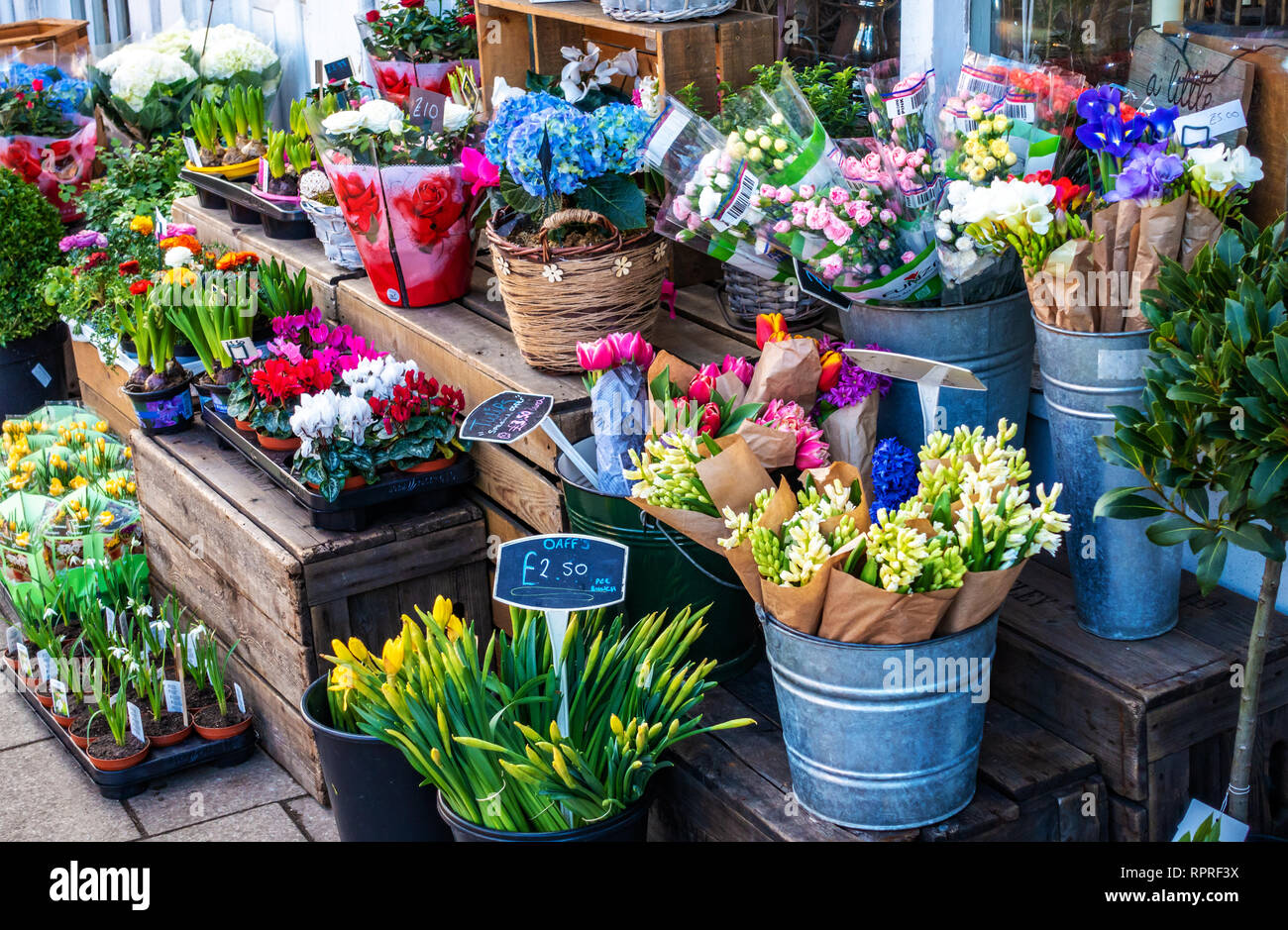 Working arrangements hires stock photography and images Alamy