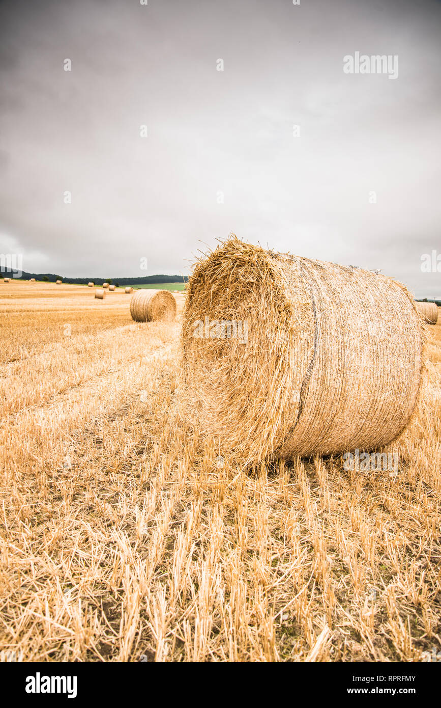 Large round straw bale on field Scotland Stock Photo Alamy