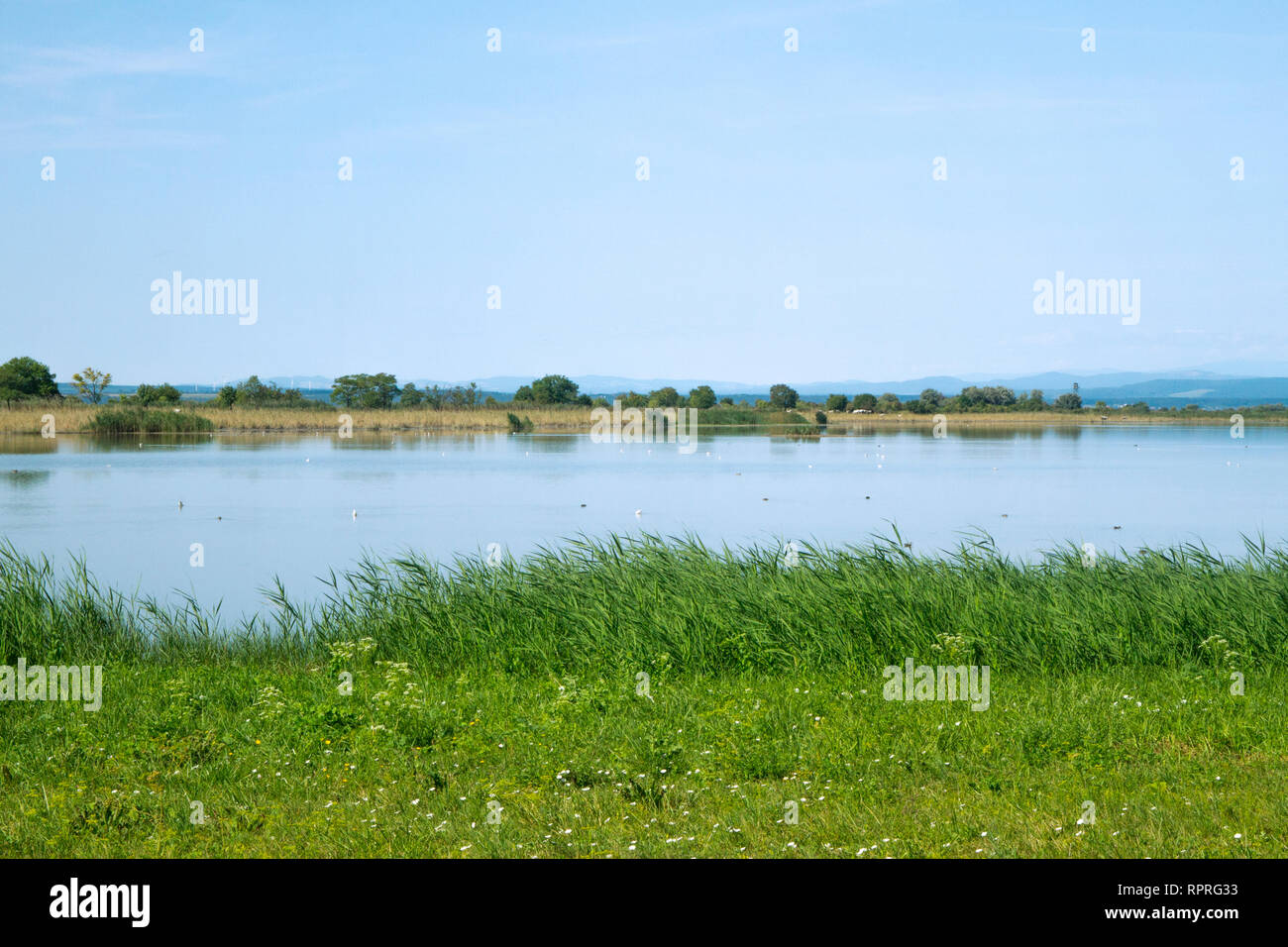 National Park Neusiedler See, Seewinkel. Beautiful idyllic Lake
