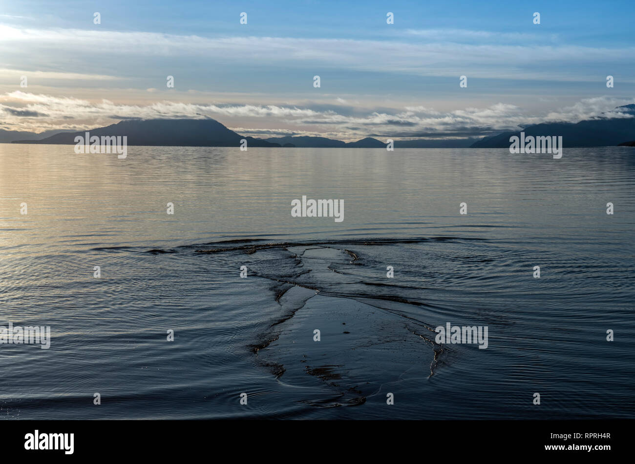 Gustavus alaska hires stock photography and images Alamy