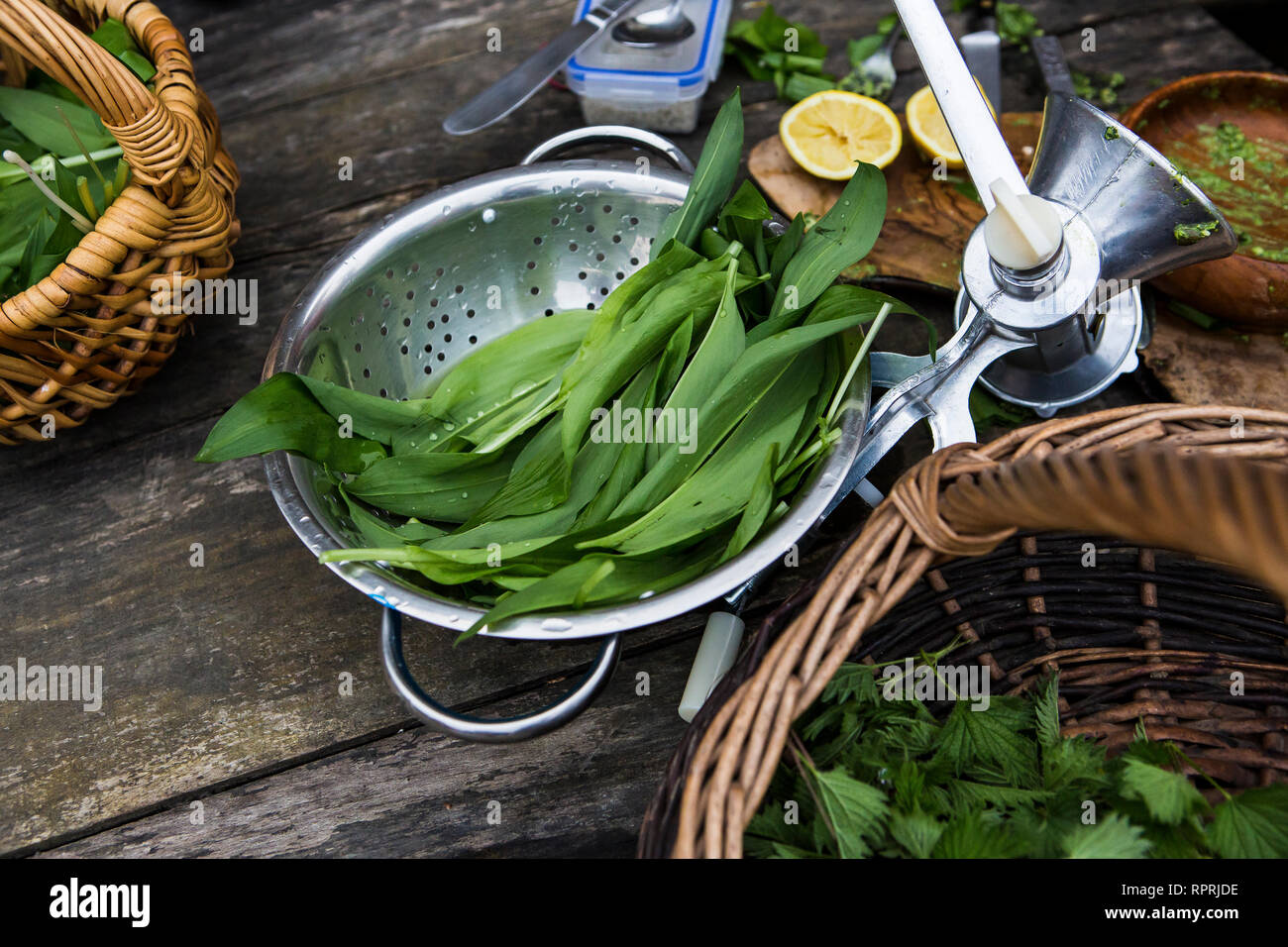 Foraged edible plants in Sussex, UK Stock Photo Alamy