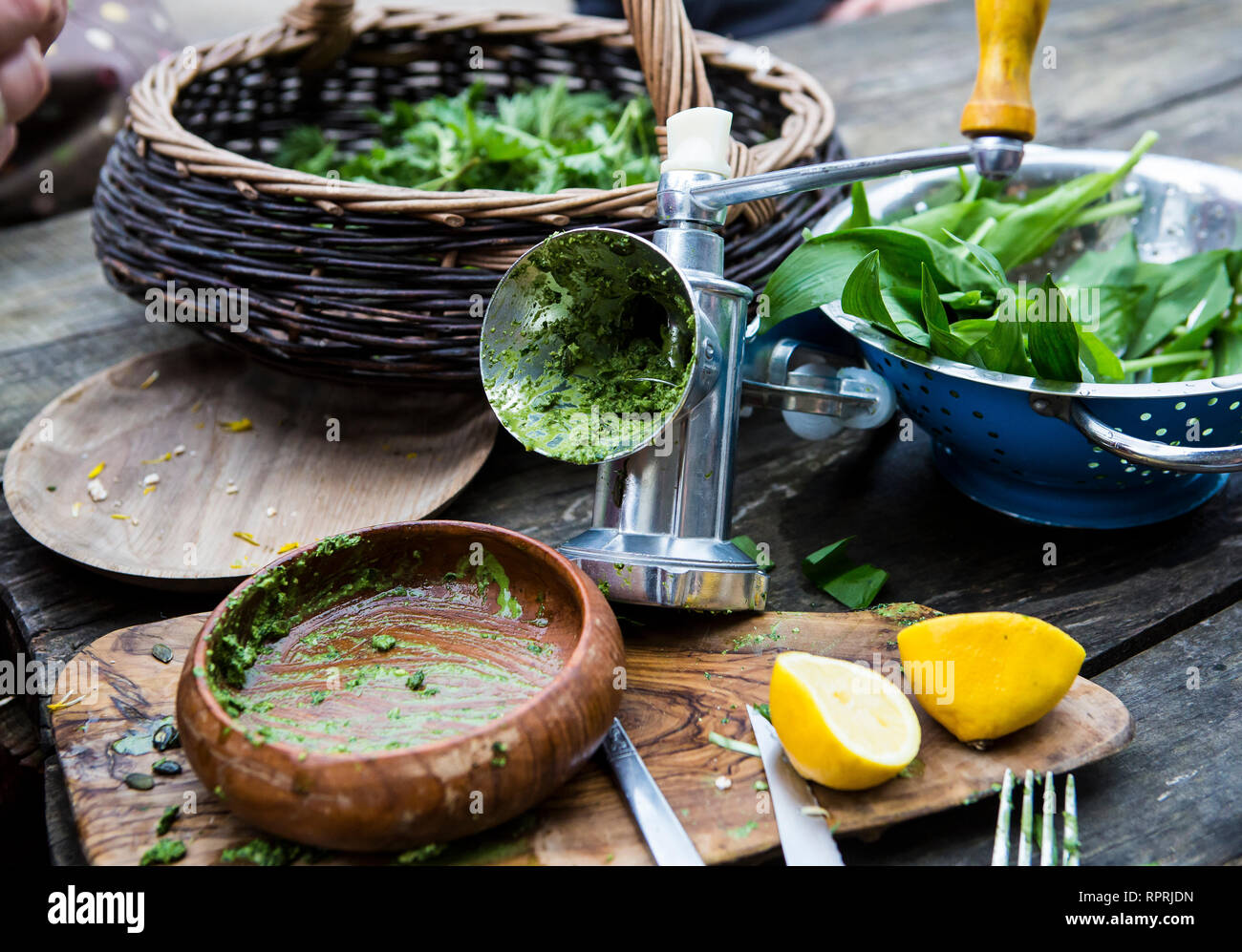 Foraged edible plants in Sussex, UK Stock Photo Alamy