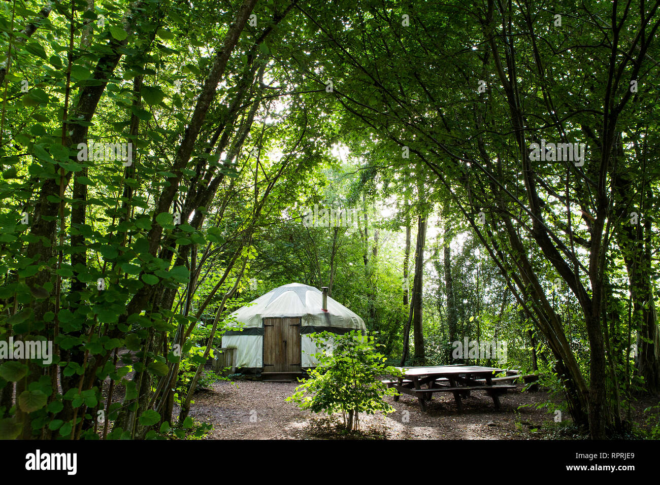 Traditional yurt in the woods, glamping in Spring / Summer Stock Photo