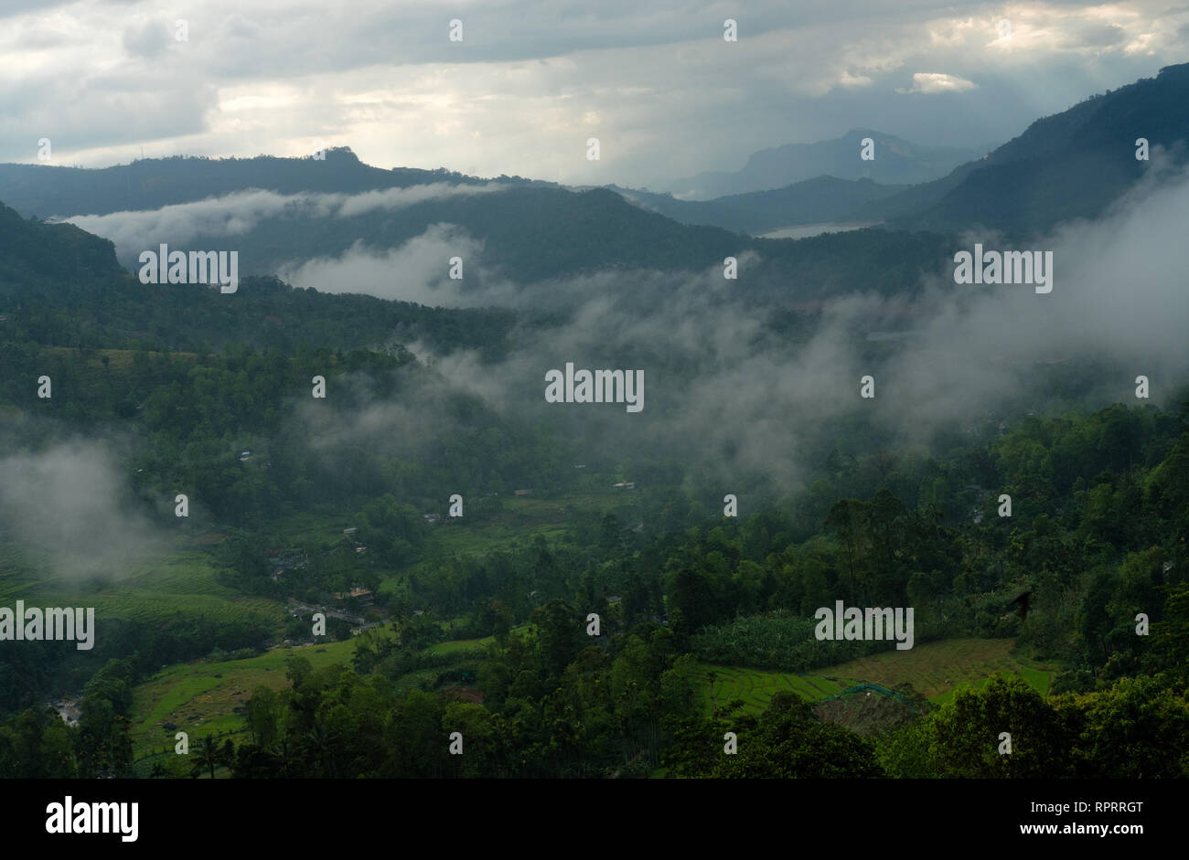 Misty landscape near Nuwara Eliya, Sri Lanka Stock Photo