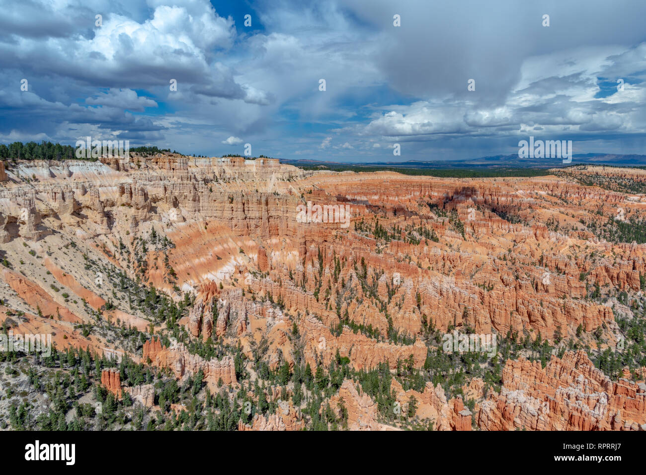 Amphitheater at Bryce point, Bryce Canyon National Park, Utah, United States Stock Photo