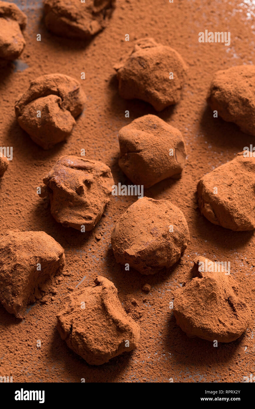 Chocolate truffles on the cocoa powder Stock Photo Alamy