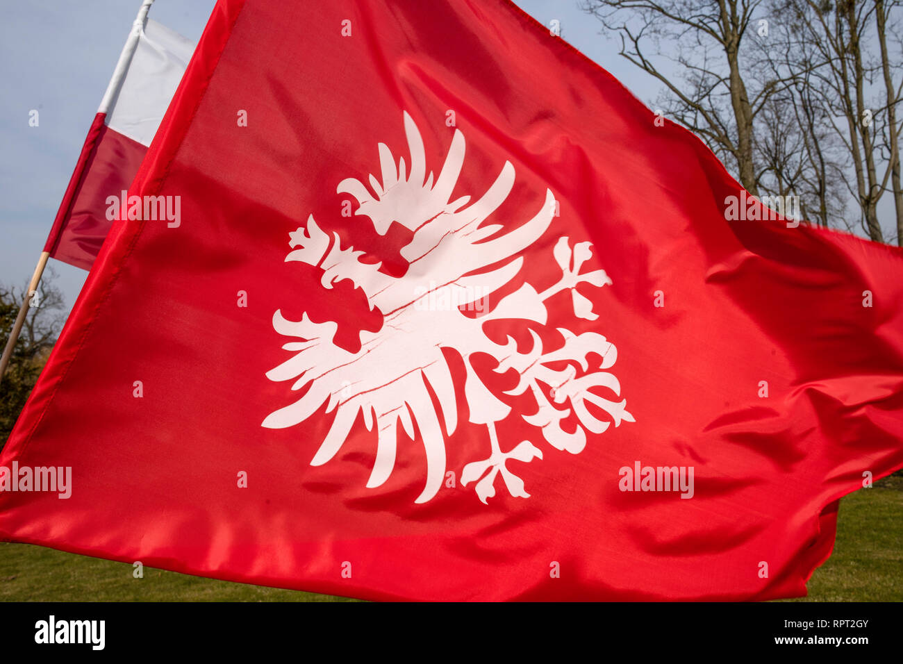 wallpapers White And Red Flag With Eagle https www alamy com white eagle on red background flag and emblem of the greater poland uprising polish national colours image237786107 html