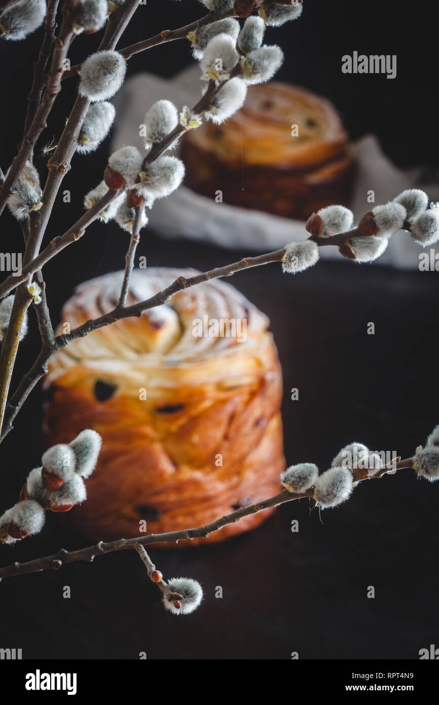 Easter cake kranch with icing sugar on a dark background and with willow flowers. Stock Photo