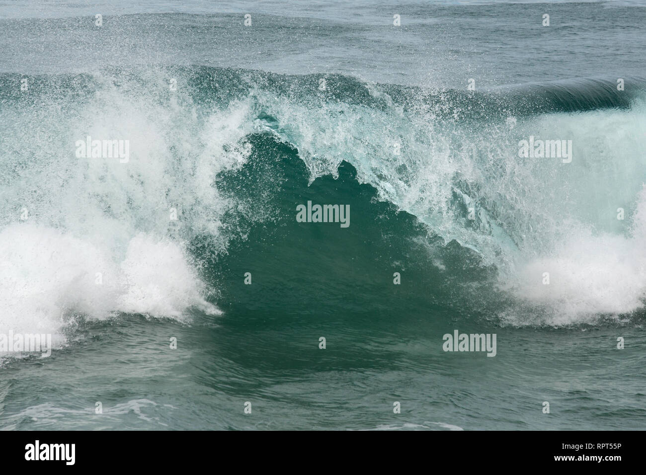 Wave in the ocean hi-res stock photography and images - Alamy