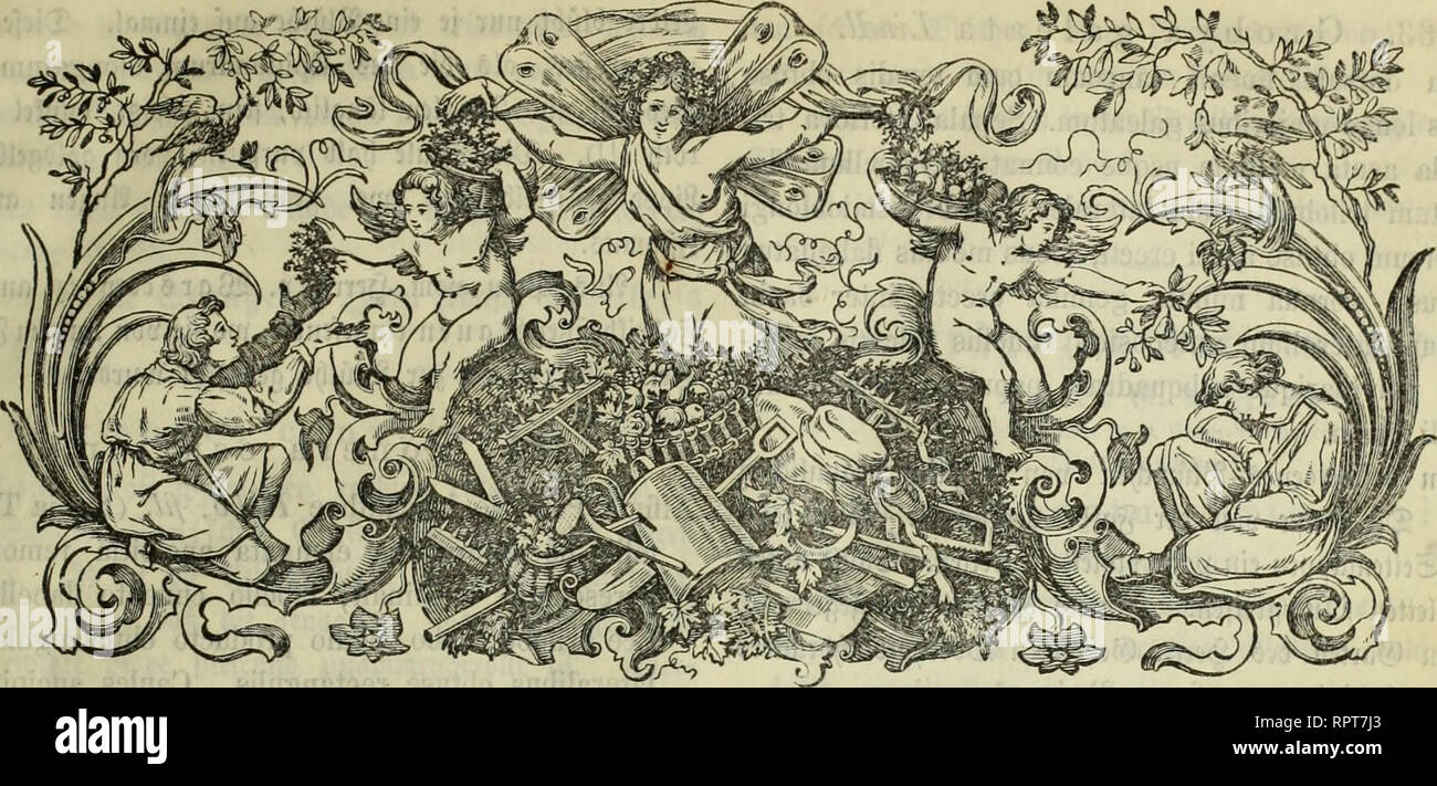 51 3 Stock Photos 51 3 Stock Images Page 28 Alamy