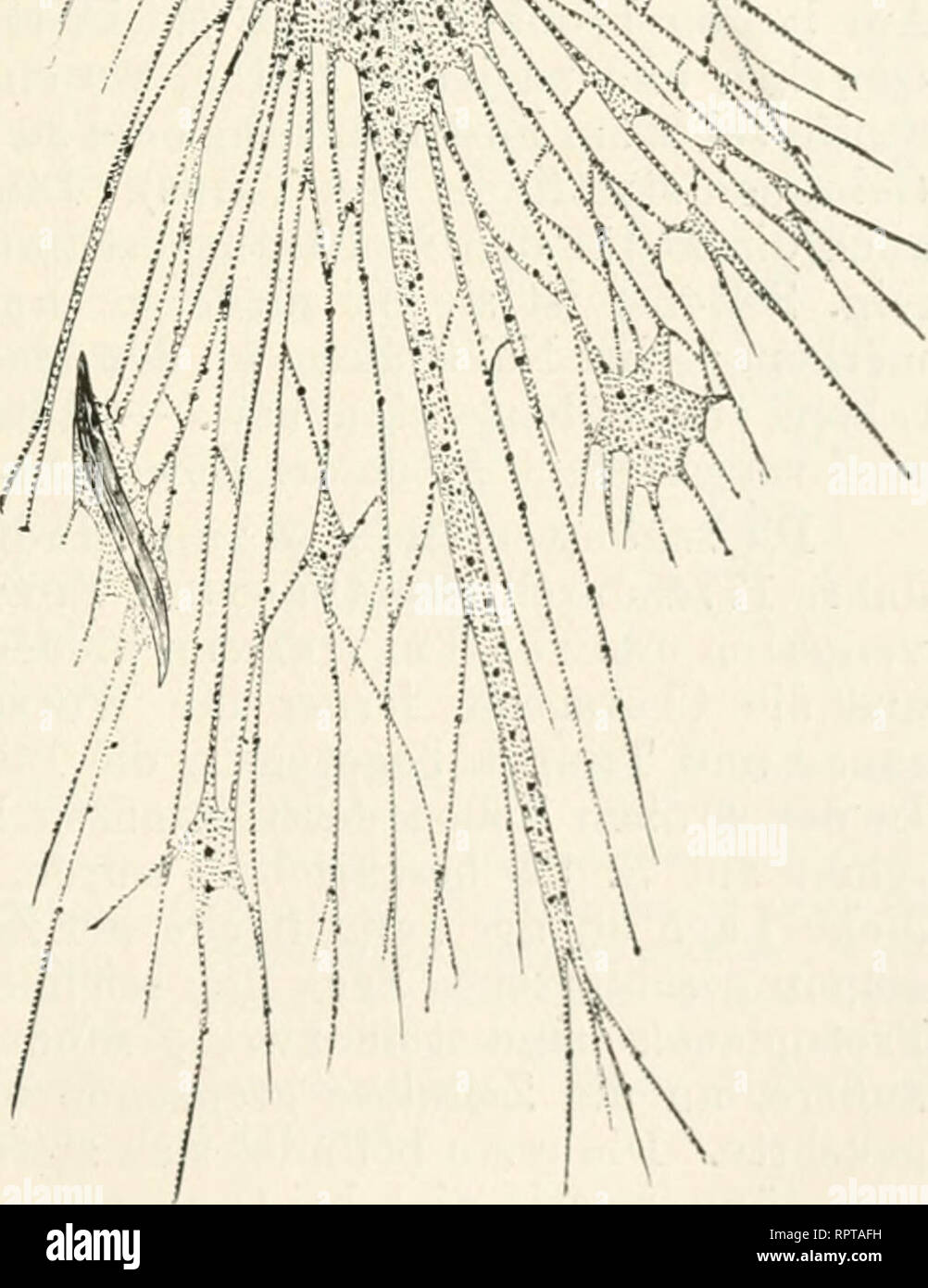 Download Anhaften For Free Anhaften