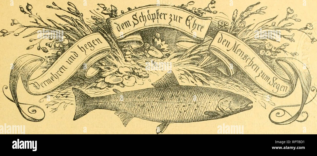 Kr Te High Resolution Stock Photography And Images Alamy