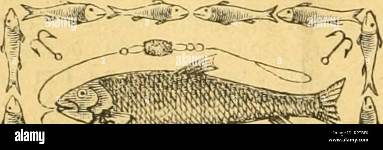 Gifi High Resolution Stock Photography And Images Alamy