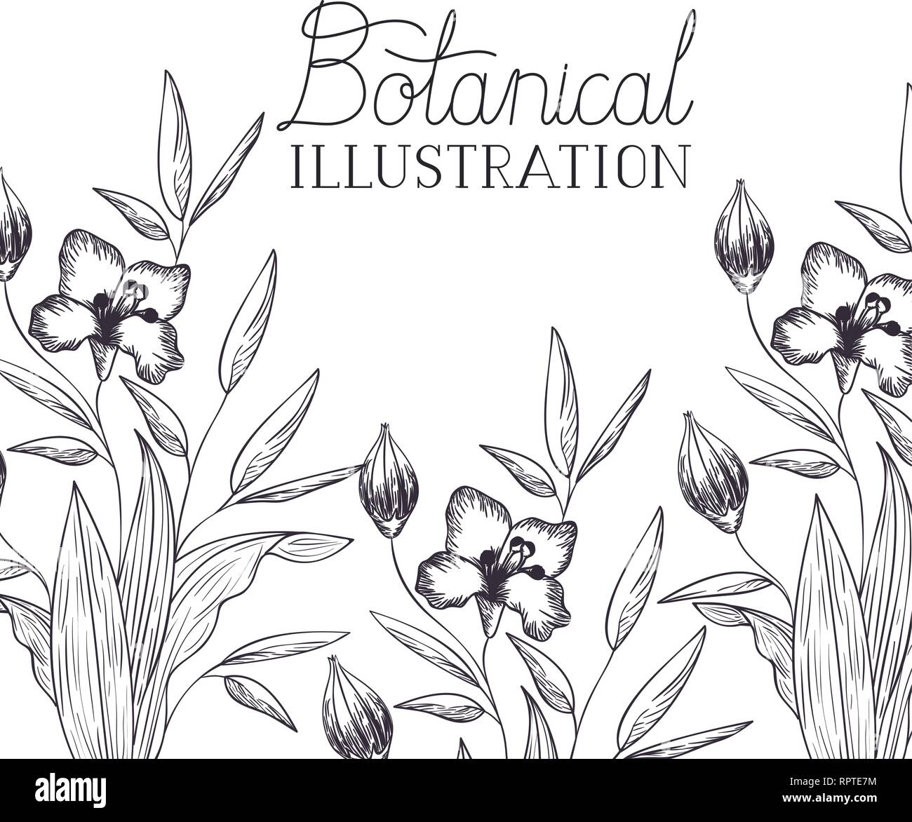 botanical illustration label with plants Stock Vector