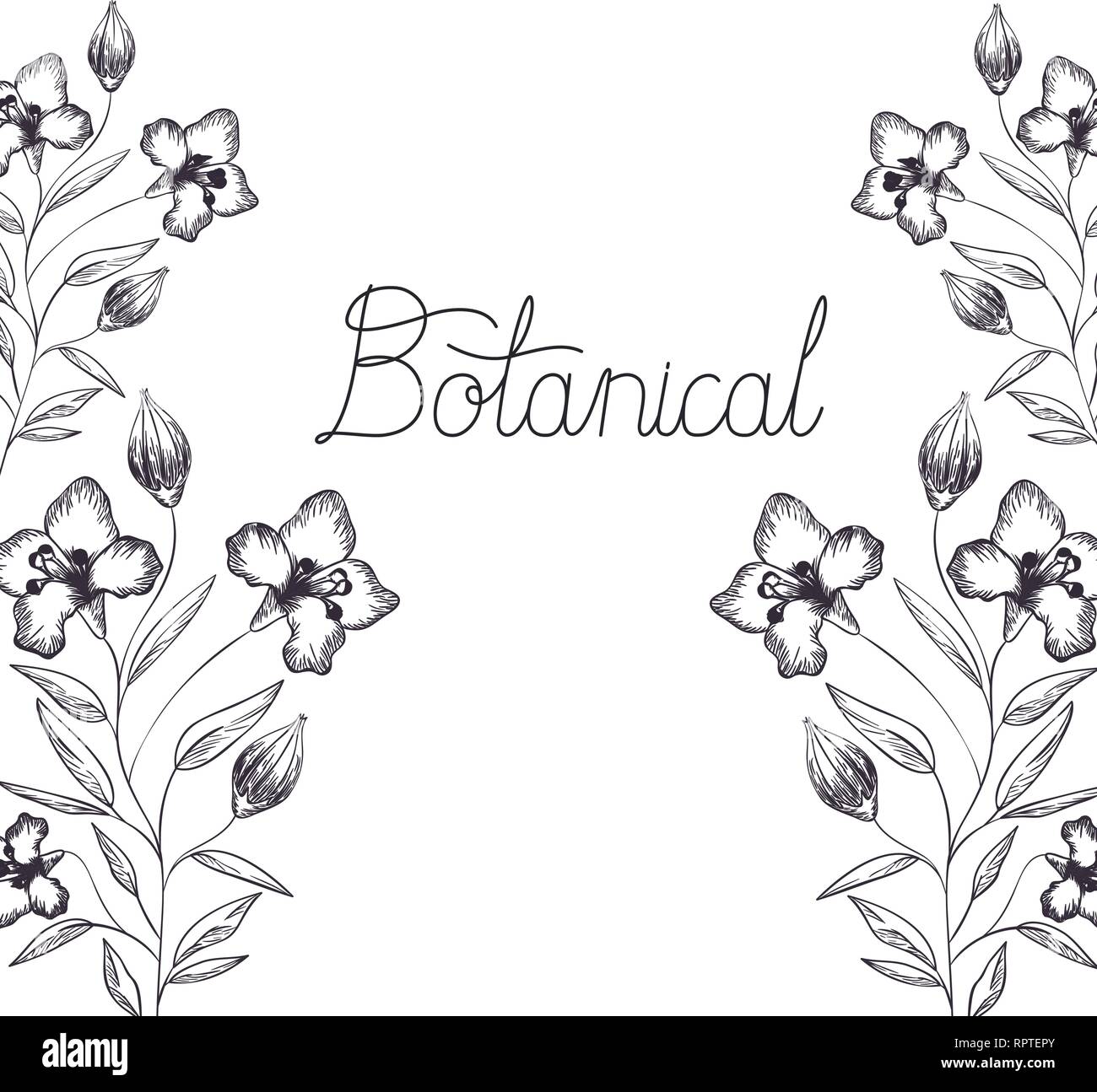 botanical label with plants isolated icon Stock Vector