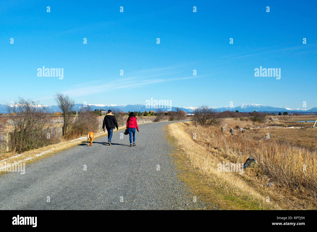 A couple and their dog walking along the Boundary Bay Dyke Trail in Tsawwassen,  British Columbia, Canada. Stock Photo