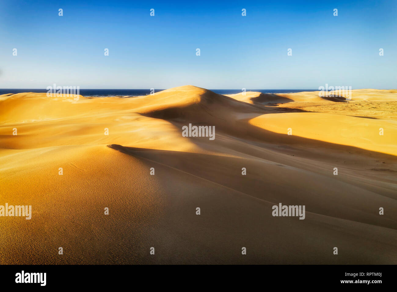 Yellow sun lit sands in arid desert climate of dunes around Stockton beach on Pacific coast of Australia - view against horizon over sea under blue sk Stock Photo