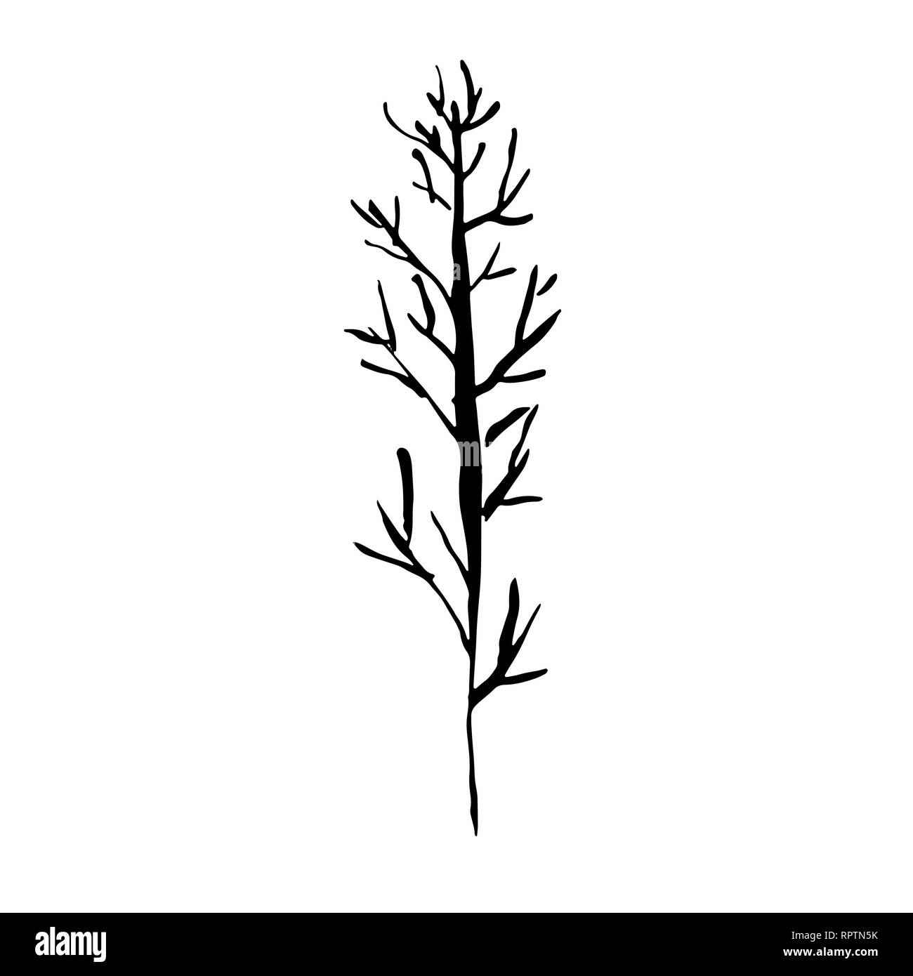 Tree silhouette. Hand drawn vector illustration Stock Vector Image ...