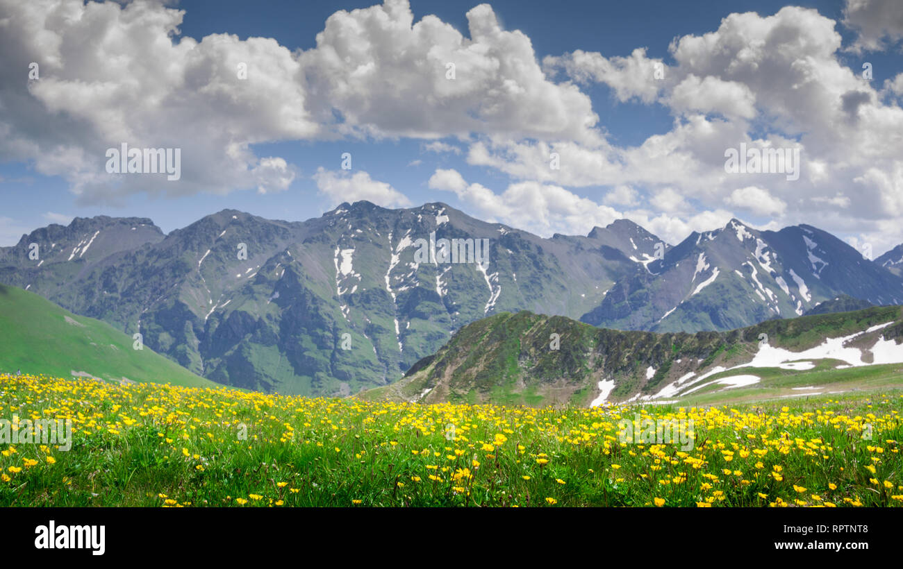 beautiful mountains  scenery with flowers Stock Photo