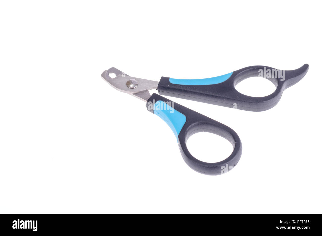Claw clippers for care of cats and small dogs. Studio Photo Stock Photo
