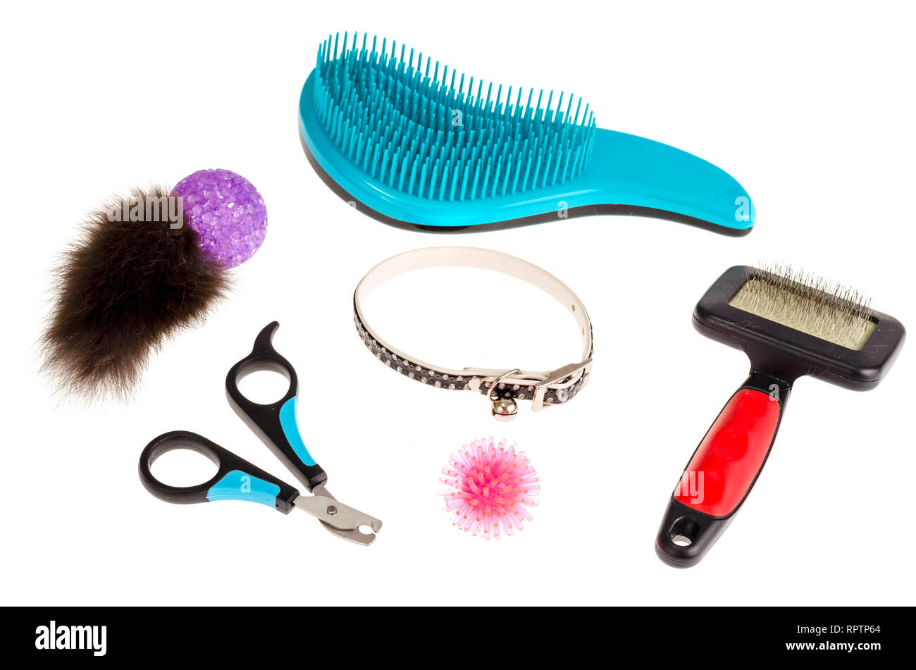 pet care accessories