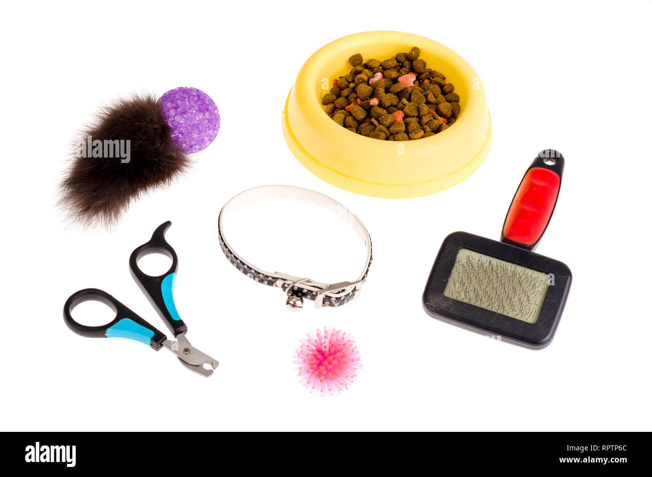 pet care accessories